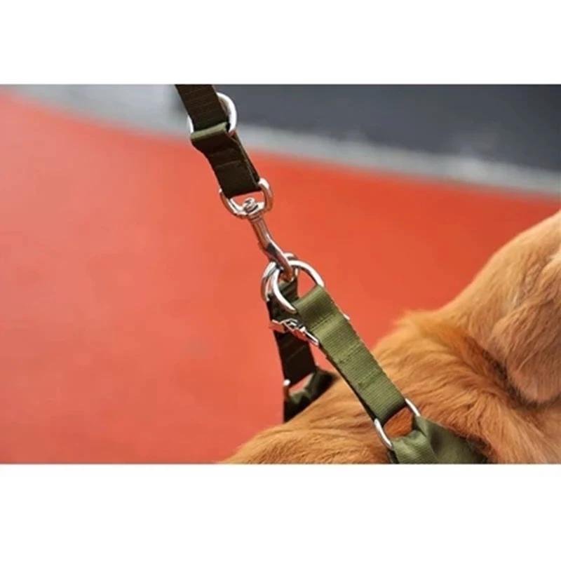 dog training leash (2)