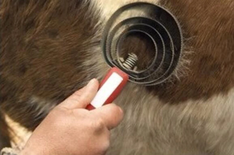 HTB1Kxbrdx6I8KJjSszfq6yZVXXaF