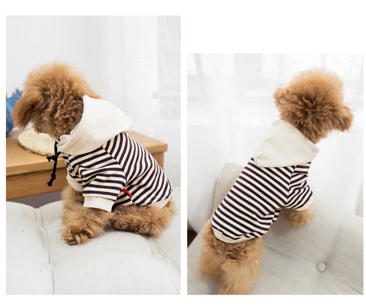 Dog Clothes Spring  (5)