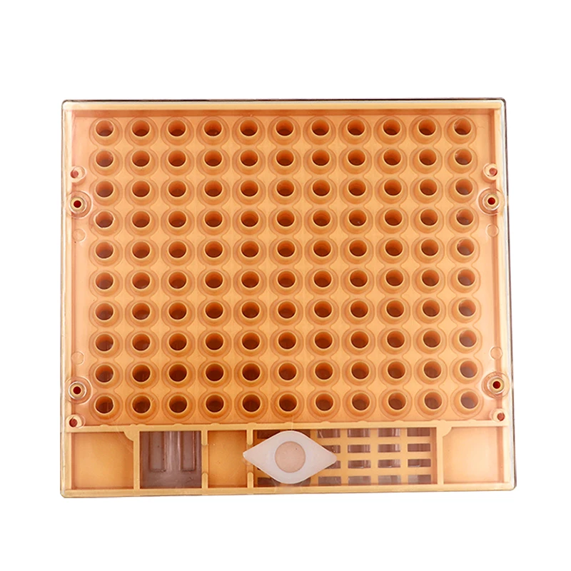 

Hot Sale Beekeeping Cup kit Queen Rearing Box Nicot Queen Bee Rearing System For Beekeeping Plastic Nicot Cage Tools #xm0061
