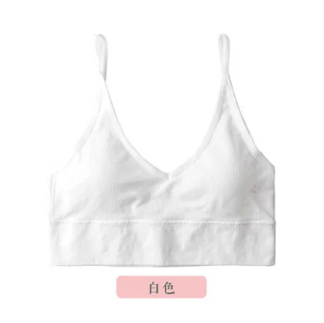 11051368392_1798860024