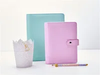 2015-2016 New Dokibook Notebook Mint White A5 A6 Spiral Time Planner Pencil Case Cute Creative Zipper Book Diary Agenda70