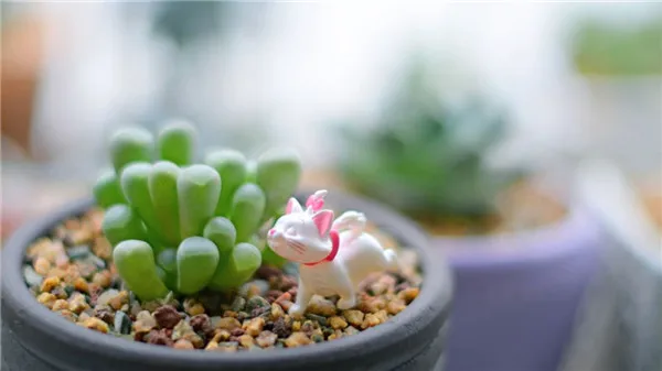 Cute Cats Marie Figaro mini figures pvc toys 2pcs - Marie Show 1