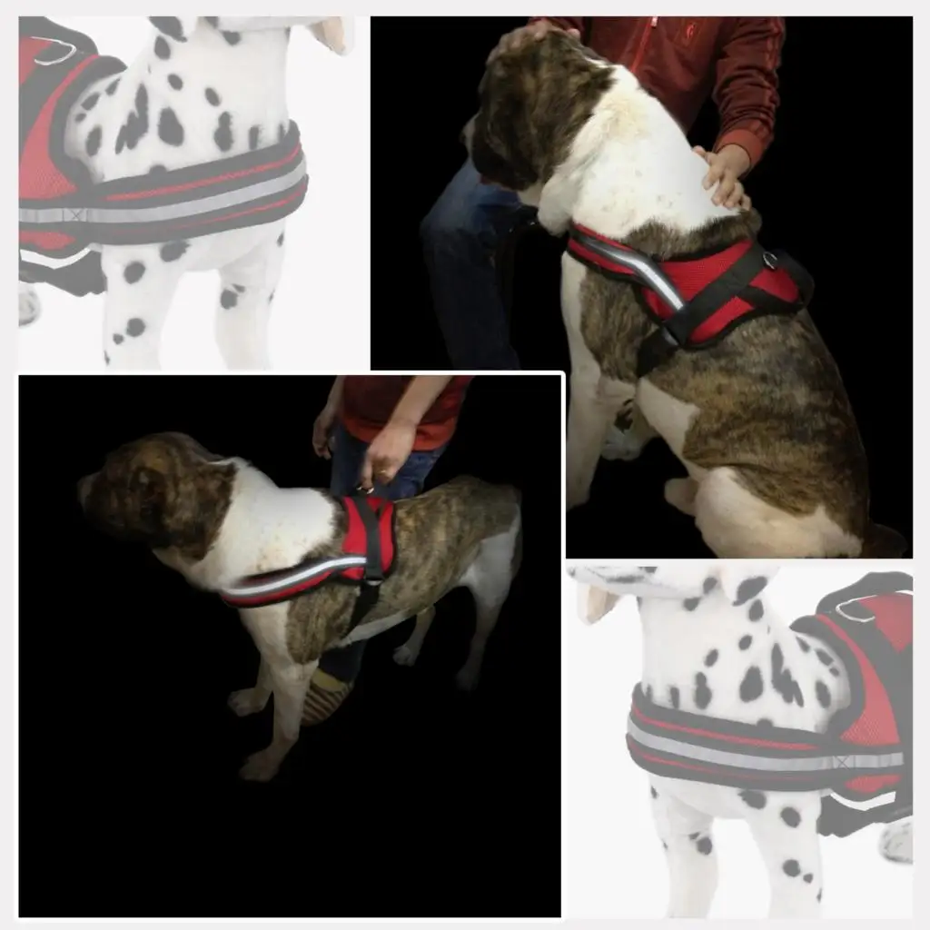 Pet Dog Harness Restraint Safe Easy Walk Adjustable mascotas Restraint