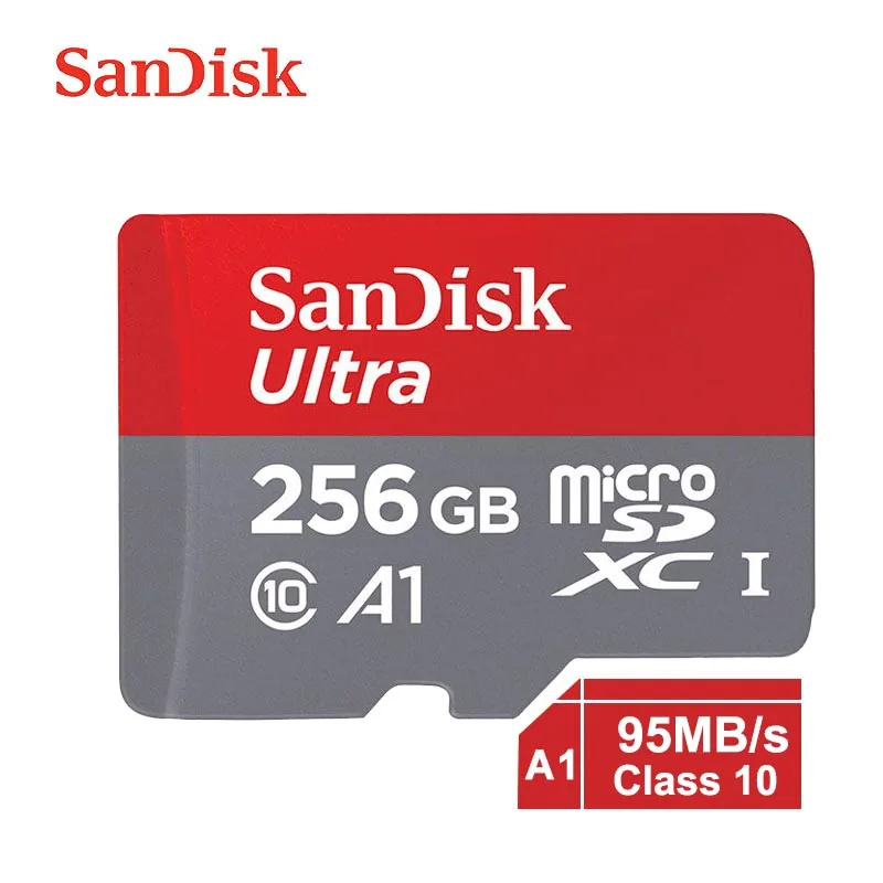 Sandisk MicroSD 128 gb 64 GB 32 GB 16 GB карта памяти 200 GB 256 GB SDXC C10 100 МБ/с. TF карты карта памяти microsd - Емкость: SD-A-001-256GB