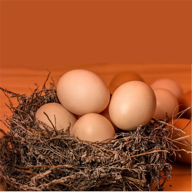 Fake Rubber Egg Toy Joke Childrens Kids Party Cooking Gag Joke Toy Premium Quality