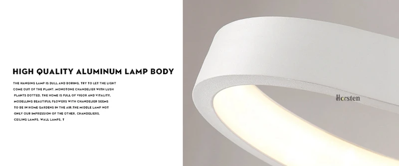 Modern Minimalism Oval Ring LED Pendant Lights Aluminum Acrylic Suspension Hanging Lamps For Dining Room Restaurant Office (19)