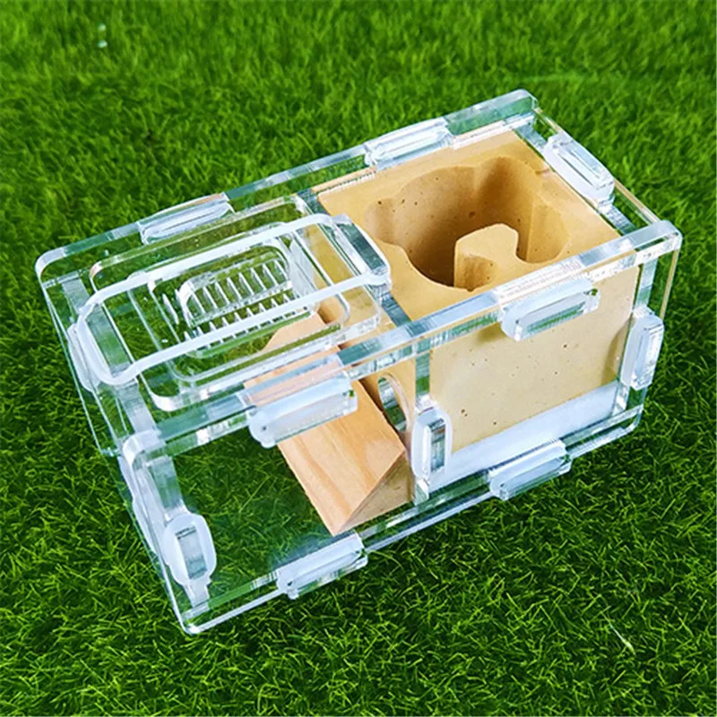 

Pet Ant Nest Gypsum Ant Nest Villa Workshop Pyramid Hill Imitation ecological acrylic ant nest