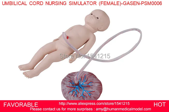 

NURSING TRAINING MANIKIN PREMATURE MODEL,NEWBORN UMBILICAL CORD NURSING SIMULATOR,UMBILICAL CORD NURSING SIMULATOR GASEN-PSM0006