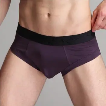 

2pcs/lot Plain Blank Men Briefs Underwear Sexy Modal Stretchy Men Panties Underpant Elastic Quality Slips Mens Underwear