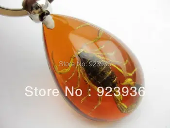 

FREE SHIPPING Lot of 12 pcs Golden Cool Scorpion Insect Key Chain Real Scorpion Key ring