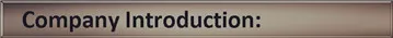 company information_