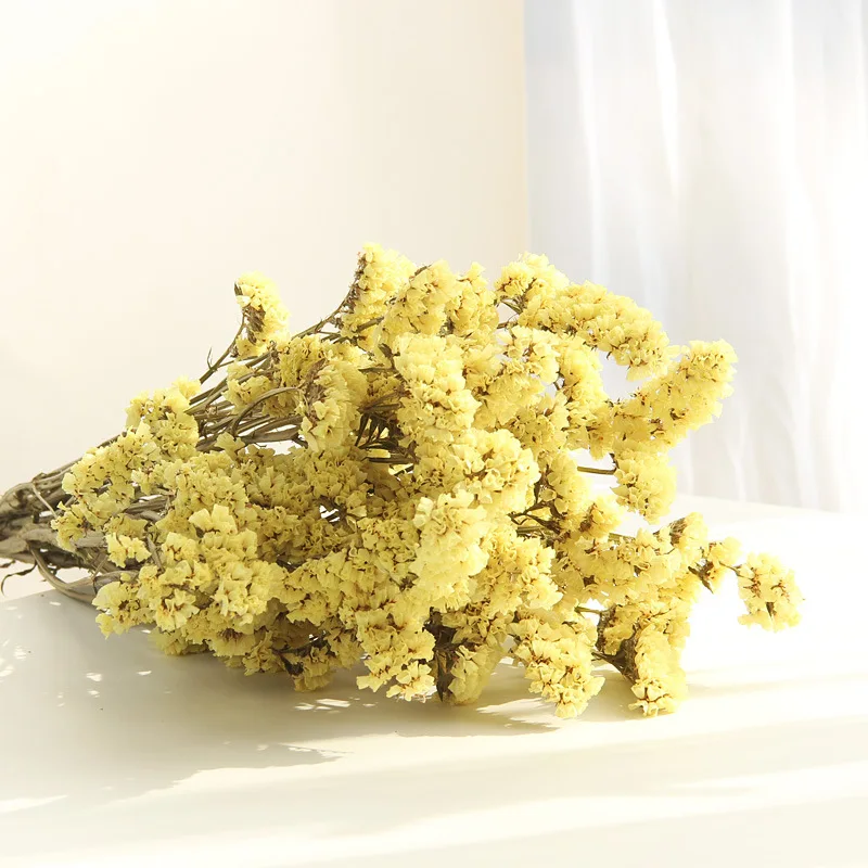 10 шт. консервированные свежие сушеные забывчивые цветы ветка для свадьбы дома вечерние украшения праздника DIY букет проектная принадлежность SAD70 - Цвет: white