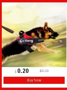 dianxiaobao