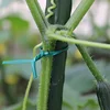 Soportes para plantas verdes de jardinería, enredadera, plantas trepadoras, Cable de amarre, partes de soportes para plantas, bonsái, flor, pepino, uva, ratán, 100 Uds. ► Foto 3/6