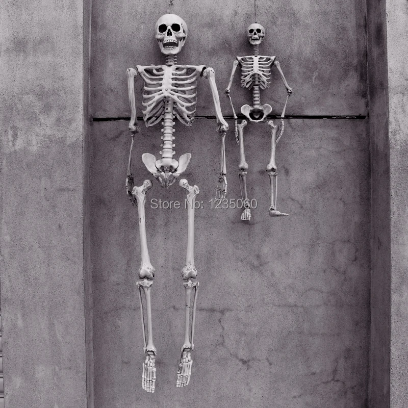 165cm-Terror-Halloween-props-haunted-house-Room-Escape-artificial-human-skeletons-model-frame-tomb-raiding-Adult (1).jpg