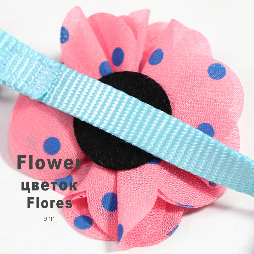 puppy collars