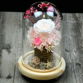 

12*26cm Log Base Glass Dome Vase Home Decoration Diameter=12cm Height=26cm Glass Dome Friend Gift Wedding Decoration