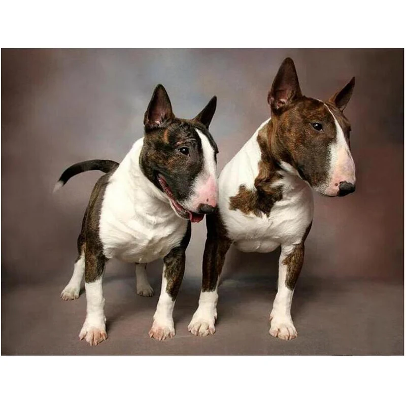 Bull Terrier Dog DIY 5D алмазная живопись животных полный квадратный круглый крест вышивка