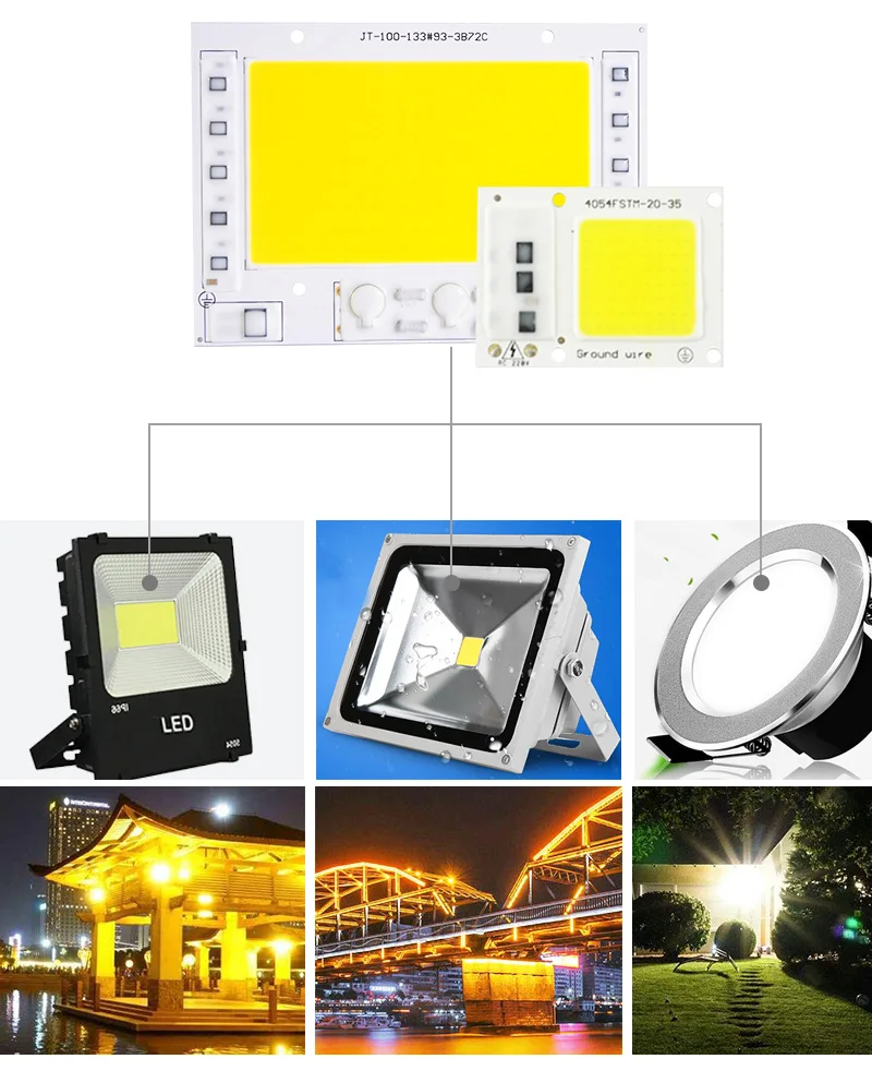 Kaguyahime Growth/White Integrated COB LED Lamp Chip AC 220V 5W~100W 30W 20W 10W Smart IC Driver For DIY Floodlight Spotlight