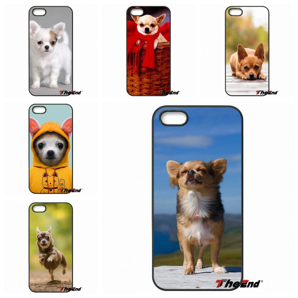 australian shepherd iphone 4 case popular cute animal iphone 4 case buy cheap cute animal iphone 4 australian shepherd iphone 4 case popular cute animal iphone 4 case buy cheap cute animal iphone 4