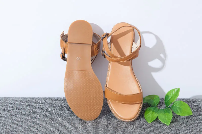 Camel1