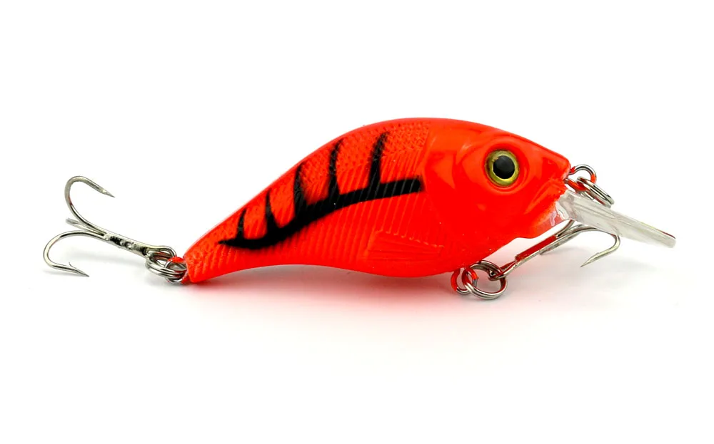 CB007 BAIT (2)
