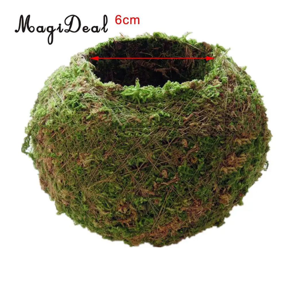 Creative Moss Ball Flower Pot Planter Bonsai Plant Holder Home Garden 6cm