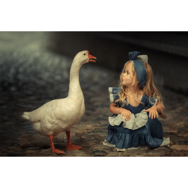 HTB1DC8faK6sK1RjSsrbq6xbDXXa7