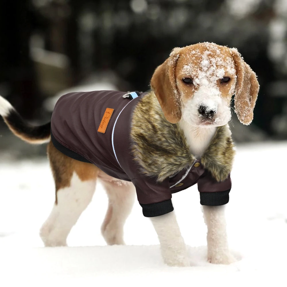 Зимняя куртка для собак, водонепроницаемая кожаная одежда для собак, одежда для маленьких, средних и больших собак, французская одежда для бульдога чихуахуа, йоркширская одежда