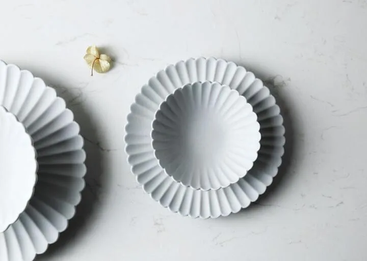 dish1