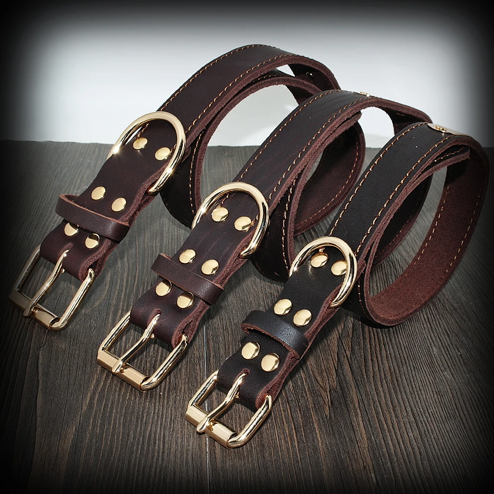 Genuine Leather Dog Collar Personalized Custom Pet Nameplate Tag ...