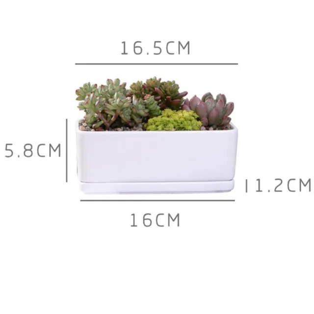 Kerámia Húsos Virágcserepek Minimalista Téglalap Fehér Zamatos Növényi Pot Porcelán Asztali Virág Zakka - Image 6