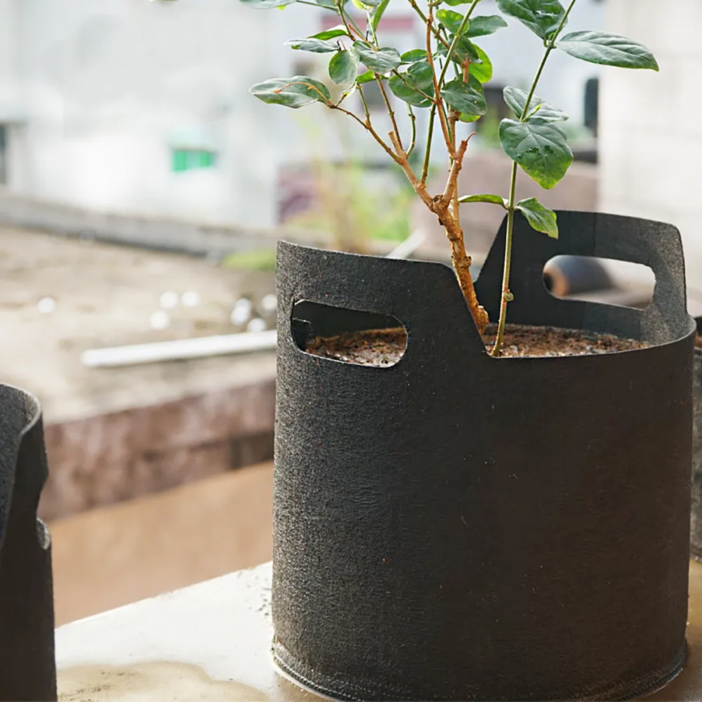 

2019 Autumn new new outdoor environmentally-friendly tree planting bag Black Fabric Pot planting seedling pot bonsai plantas