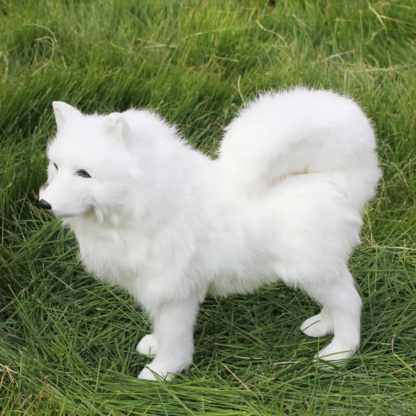 chien japonais peluche