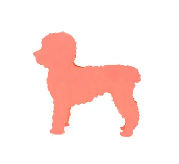 

Labradoodle place cards rustic Wedding bridal baby shower Party seating table number name Tented Escort Cardpc001