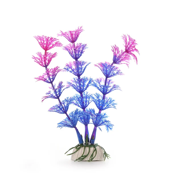 Image 22