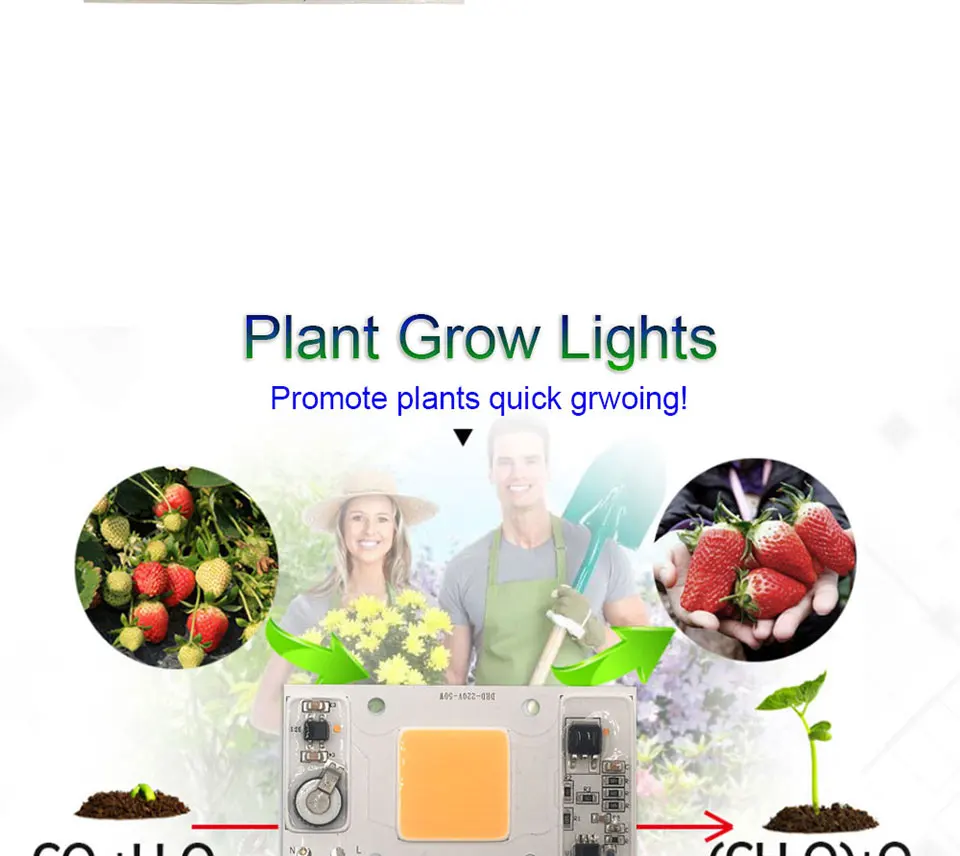 Full Spectrum COB LED Lamp 50W 95% RA 220V AC COB Chip Smart IC for Plant Frow Lights Floodlight Lighting Source Warm Cold White (8)