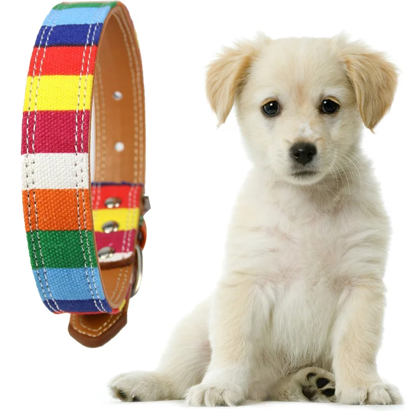 Leather Dog Collar Colorful Rainbow Adjustable Pet Collar for Small