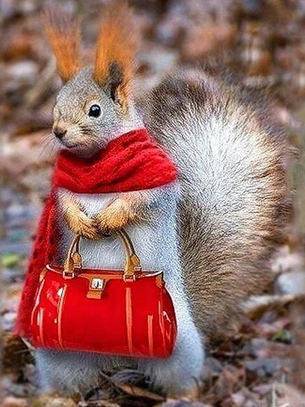 

5D Diy Diamond Painting Cross Squirrel Animals Full Square Diamond Embroidery Sale Rinestones Painting Diamond Mosaic Decor