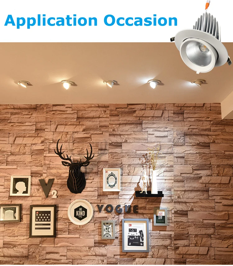 Super Bright 5W 7W 10W 12W 15W 20W 30W 35W LED Trunk Light Gimbal Light Adjustable COB Rotation Recessed Ceiling Downlight AC220V (2)