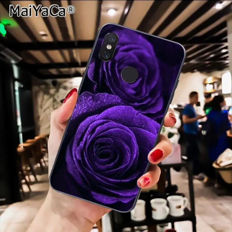 infinity on purple  Flower