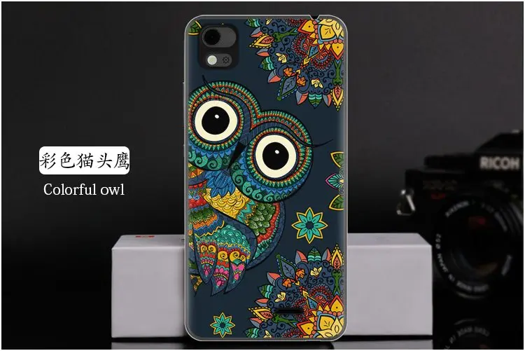  Colorful owl