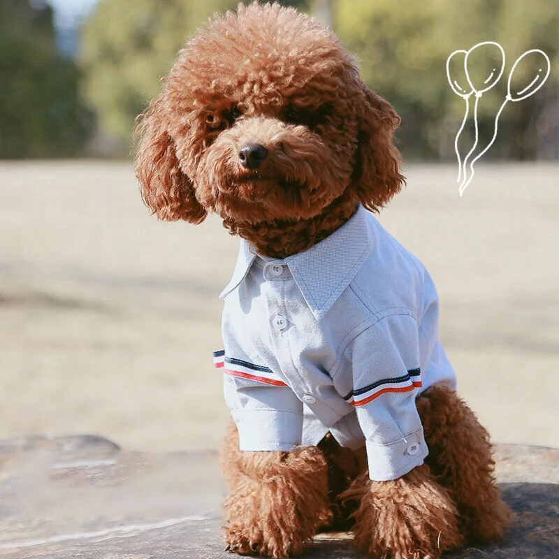 

Fashion Dog Clothes For Dogs Pet Shirts Puppy Cat Clothes For Small Medium Dogs Pets Clothing Dog Hoodies Pets Apparel Mascotas