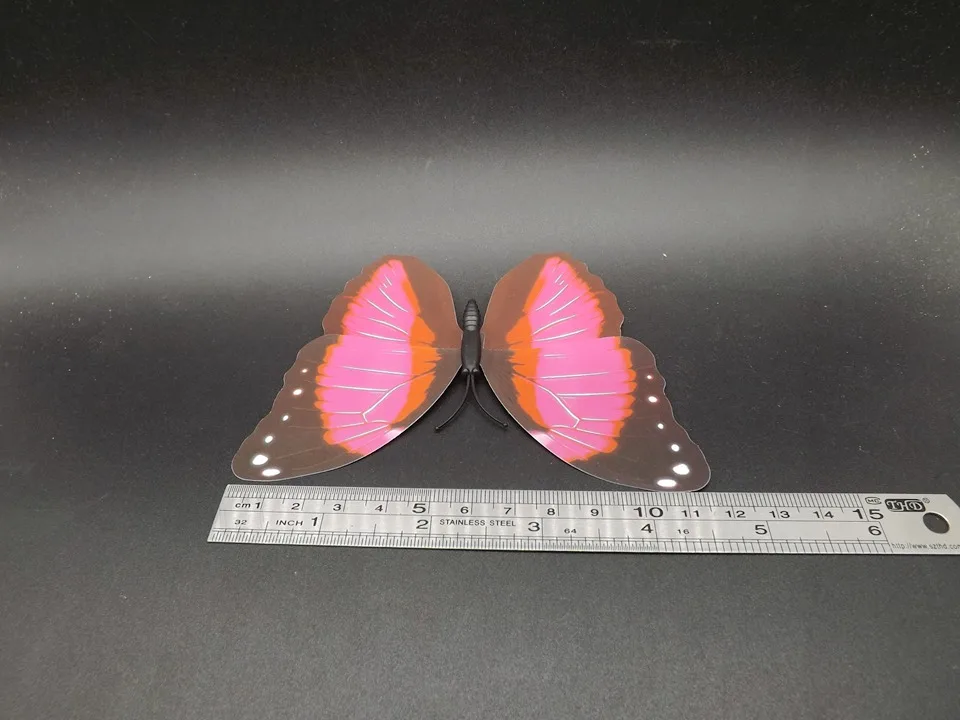 I235-Butterfly (11)