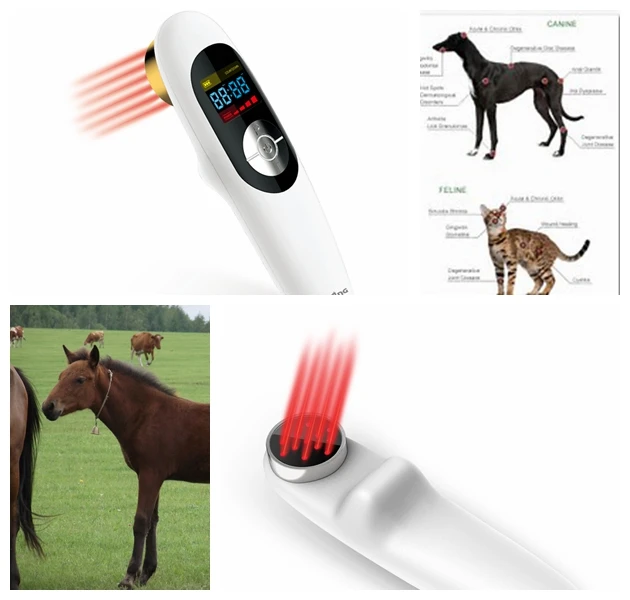 

Small size laser acupuncture laser treatment for inflammation home use