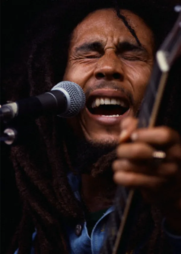 Pictures Of Marley