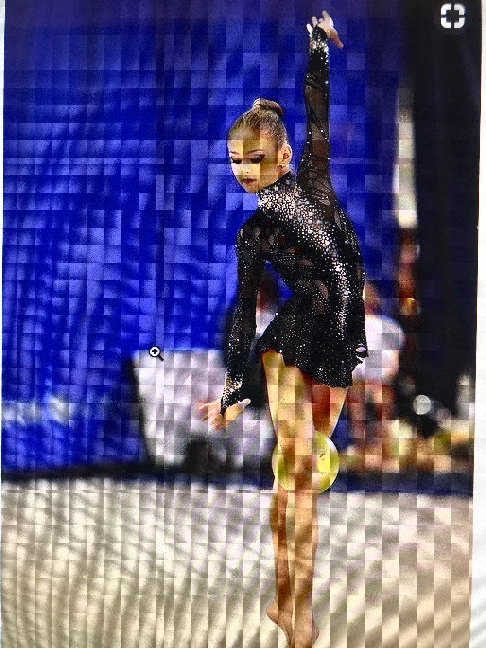 figure skating dresses skirted leotard