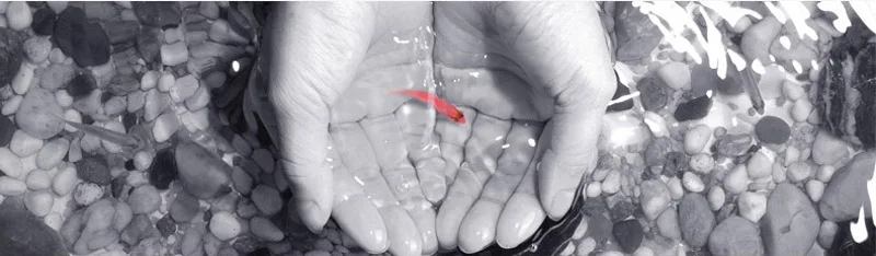 HTB1CSNUSpXXXXXqXpXXq6xXFXXXZ