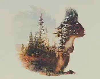 

21200 Winter Squirrel - Paint by Numbers Kits for Adults DIY